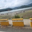 언덕위의 바다정원 이미지