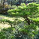 경기도 광주시 곤지암리조트 (화담숲) 이미지