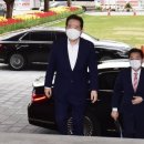 도리미디어 이미지