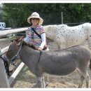 9(Sat) Aug. Horseback Riding & Concert 이미지