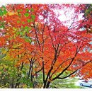아시아공원 이미지