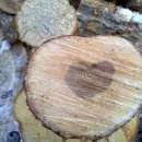 내리사랑 이미지