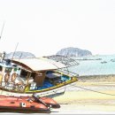 초락1리 이미지