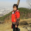 성남남한산성시장 이미지