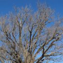 볼음도길 이미지