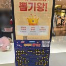 네모네 이미지