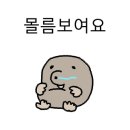 네일모어무드