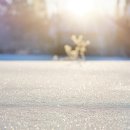 광평초교 이미지