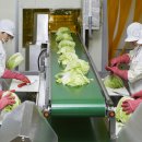 유한회사 야생초 이미지