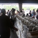 무구선원 이미지