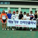 영롱이인라인 이미지