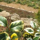 나무와사람들 이미지