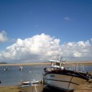 남해미미 이미지