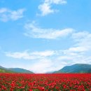 반포대로28길 94 이미지