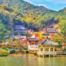 백운공원 티스토리
