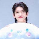 나모 이미지