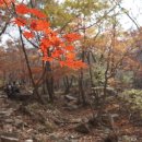 금오산도립공원 폭포 화장실 이미지