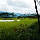 알프스대영 골프장 이미지