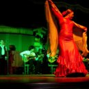 플라멩코댄스 이미지