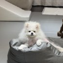 두카메디컬센터 이미지