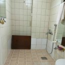 은행나무사거리3 이미지