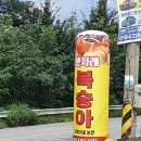 지혁농장 네이버블로그
