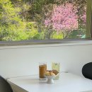 칠일사 | 경치가 좋은 광주 운림동 신상카페 1 way in coffee 원웨이인커피 가오픈 방문후기