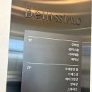💍W5. 강릉 벨리시모 웨딩컨벤션 쇼케이스 / 예식장 분위기 및 예식장 정보 / 뷔페 후기 (진짜 맛있다!)