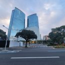 제주드림공인중개사사무소 이미지