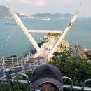 소리나무 | 수산가공선진화단지/감천항동방파제/암남공원 갈맷길/두도전망데크/송도용궁구름다리