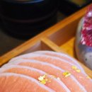 일도참치 이미지