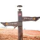 예향천리마실길 10코스 가시연꽃길 이미지