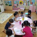 고양이네 생선가게 이미지