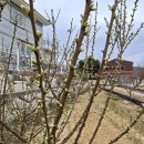 선학농장 이미지