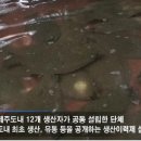 영어조합법인 청정제주 이미지