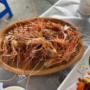 물고기두마리