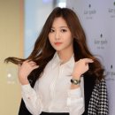 세련 스포츠조선