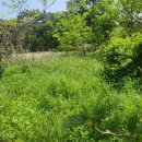 구례병원 이미지