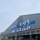 강릉 주문진 수산시장 근호수산 대게 먹은 후기 식당은 충남공주횟집