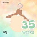 11500-1-36-08 | 임신 35-36주| 막달검사, 에어컨 점검, 리뗀클로르 트롤리, 하이비 젖병솔 구매