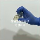 윈썸제이 이미지