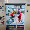 용인대 석사 서울시 대표 태권도 | 용인대석사강담태권도 아이운동 신대방태권도 용인대석사 국대출신관장님