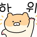 관악모터스 이미지