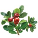 메디컬리스트(주) 이미지