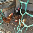 솔가펜션 이미지