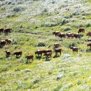 바다숨소리 이미지