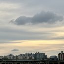 유천 Pet 이미지