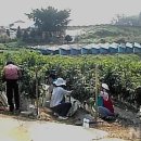 인천광역시 강화군 불은면주민자치센터 이미지