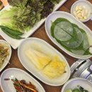 언양 | 언양에서 즐긴 든든한 점심특선, 언양읍 맛집 다인암소한판 차돌박이 정식 솔직 후기 언양점심식당추천
