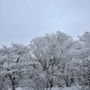 1100고지 휴게소 ↔ 제주시 방향 이미지